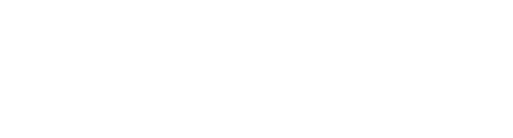 Megaport